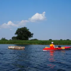 Osoba w kajaku na spokojnym jeziorze łańskim, otoczonym trzcinami i drzewami.