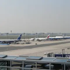 Samoloty United Airlines i innych linii lotniczych na płycie lotniska Frankfurt nad Odrą.