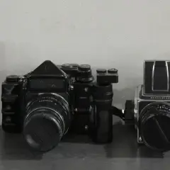 A lineup of vintage cameras, including a Mamiya C2, Rolleiflex, Hasselblad, Mamiya 645, and Holga, with bananas for scale.