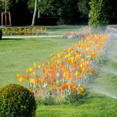 Soluciones de riego Hunter: eficiencia y calidad para tu jardín