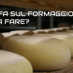 Formaggi in stagionatura. Scopri perché il formaggio in frigo fa la muffa e come evitarlo.