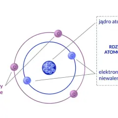 Schematyczny model atomu: jądro atomowe z protonami i neutronami, otoczone przez elektrony walencyjne i niewalencyjne krążące po orbitach.