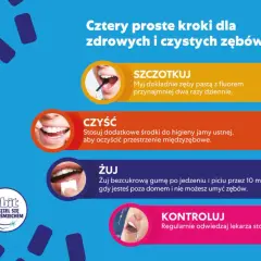 Cztery kroki jak zapobiec próchnicy: szczotkuj, czyść, żuj gumę i kontroluj u dentysty. Orbit wspiera zdrowy uśmiech.