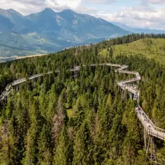 Ścieżka w koronach drzew na Słowacji, blisko granicy z Polską, oferuje wspaniałe widoki na Tatry i las.