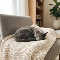 Gato gris durmiendo plácidamente sobre una manta, soñando quizás con un poco de valeriana para gatos.
