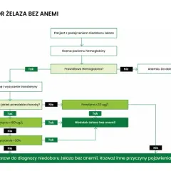 Ferrytyna: Co to za badanie? Normy, objawy i interpretacja wyników