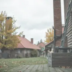 Kiedy chodzą kominiarze z kalendarzami? Sprawdź, by nie przegapić wizyty