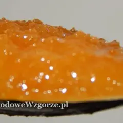 Ile kalorii ma łyżka miodu? Wartość odżywcza i porównanie z innymi produktami