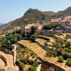 Terrassierte Hänge mit Bäumen und trockener Vegetation, die sich zum Meer hin erstrecken. Im Hintergrund liegt ein Dorf am Fuße des Tramuntana Gebirges.