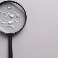 Spermy pod lupą. Wyglądają jak małe, białe kształty, które mogą symbolizować preejakulat lub plemniki.