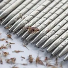 Un pettine metallico con denti ravvicinati mostra uova di pidocchi morte e residui.