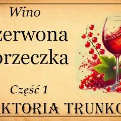 Jak zrobić wino z czerwonej porzeczki – prosta receptura krok po kroku