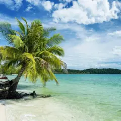 Traumhafter kambodscha strand mit Palmen, türkisfarbenem Wasser und bewaldeter Insel.