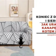 Jak zabezpieczyć kanapę przed psem i uniknąć zniszczeń