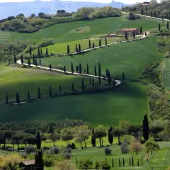 Sanfte Hügel im Val d'Orcia, gesäumt von Zypressen, führen zu einem Bauernhaus. Eine Straße schlängelt sich durch die grüne Landschaft.