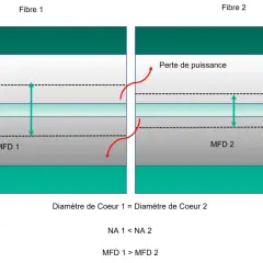 Comparaison de deux fibres optiques. Le diamètre de cœur est identique, mais la Fibre 2 subit une perte de puissance due à un MFD plus grand.