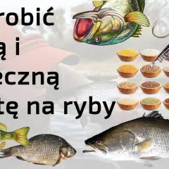 Jak zwabić ryby na łowisko? Skuteczne zanęty i techniki