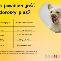 Ile karmy dla szczeniaka? Tabele, porady i zdrowy wzrost pupila