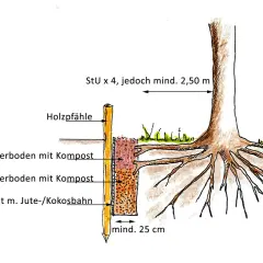 Skizze zeigt den Aufbau einer Wurzelsperre für einen Walnussbaum. Holzpfähle stützen eine Schicht aus Drahtgeflecht mit Jute-/Kokosbahn, gefüllt mit Ober- und Unterboden mit Kompost.
