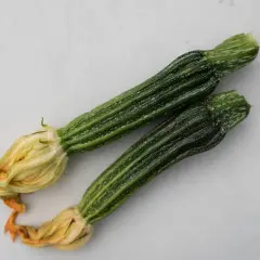 Två små ansa zucchini med blommor, redo att tillagas.