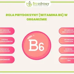 Wizualizacja roli witaminy B6 w organizmie: metabolizm aminokwasów, węglowodanów, tłuszczów, synteza neuroprzekaźników, regulacja hormonalna, ochrona komórkowa, odporność, regulacja nastroju i snu.