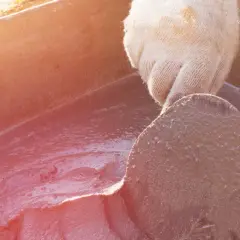 Jaki cement do kostki brukowej? Wybierz najlepszy dla trwałości i jakości