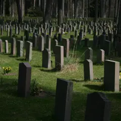 Ile kosztuje miejsce na cmentarzu na Wólce Węglowej? Ceny i opłaty