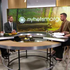 Ulrika Elvgren och kollegor diskuterar nyheter vid ett runt bord.