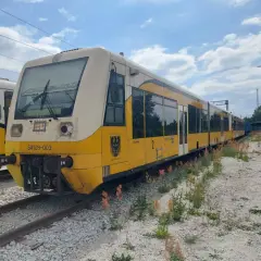 Żółty pociąg SA109-003 stoi na torach, gotowy do podróży.