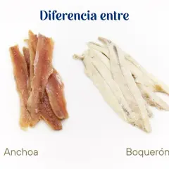 Dos montones de pescado: a la izquierda, filetes rojizos de anchoas; a la derecha, filetes blanquecinos de boquerones.