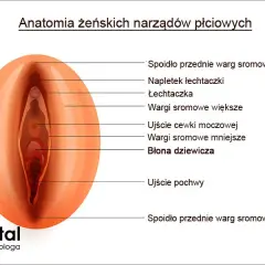 Jak poznać, że kobieta jest dziewicą - prawda o virginity i znakach