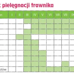 Kalendarz pielęgnacji trawnika z zaznaczonymi terminami zabiegów.