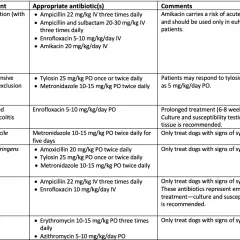 Table detailing antibiotic treatments for canine infections, including Clostridium difficile and Clostridium perfringens.