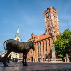 Pomnik osiołka na Rynku Staromiejskim w Toruniu, z widoczną wieżą ratuszową i kościołem.