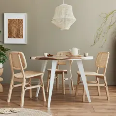 Einrichtung im skandinavischen Stil mit Rattan-Stühlen, Holztisch und Pflanzen. Viele einrichtungsstile namen passen hier.