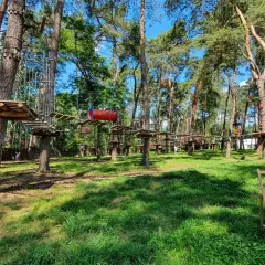 Park linowy w lesie z drewnianymi platformami i przeszkodami na drzewach. Na pierwszym planie różowy leżak.