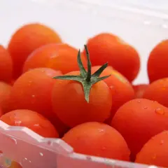 Soczyste pomidorki koktajlowe w plastikowym opakowaniu. Dowiedz się, jak przechowywać pomidory, by zachowały świeżość.