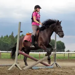 Klub Sportowy Equiright: najlepsze lekcje jazdy konnej w Warszawie