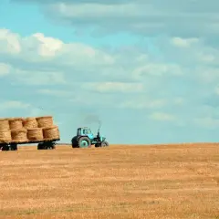 Niebieski traktor z przyczepą pełną bel siana na polu. To obraz ciężkiej pracy rolnika, który zasługuje na prawo do emerytury rolniczej według nowych zasad.