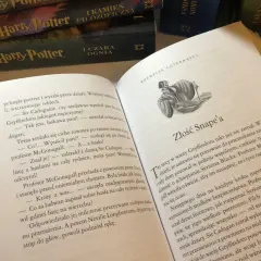 Młody Severus Snape na ilustracji w książce "Harry Potter".