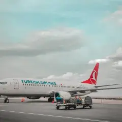 Samolot Turkish Airlines na płycie lotniska z wózkami bagażowymi.