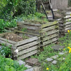Mehrere Holzkomposter im Garten, bereit, um einen Komposthaufen anzulegen. Umgeben von grünen Pflanzen und gelben Blüten.