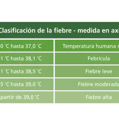 Termómetro muestra clasificación de fiebre en niños de 2 a 3 años: normal, febrícula, leve, moderada y alta.