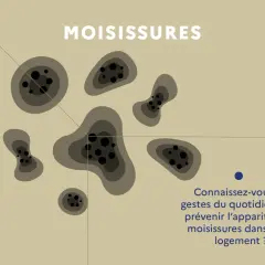 Des taches sombres et circulaires, symbolisant le problème d'humidité dans une maison, sont représentées. Le texte invite à découvrir comment prévenir les moisissures.