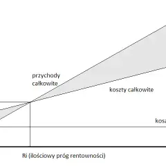 Próg Rentowności: Jak Obliczyć? Wzory i Zadania z Rozwiązaniami
