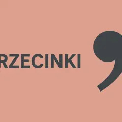 Duży, ciemnoszary przecinek, jednak obok niego widnieje napis "PRZECINKI".