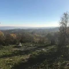 Vue panoramique sur la forêt de Marly par temps clair. Un banc solitaire invite à la contemplation du paysage vallonné.