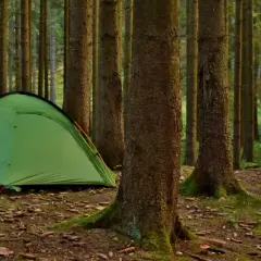 Zielona namiot i rowery w lesie, idealne miejsce, gdzie można rozbić namiot na dziko.