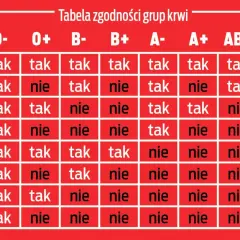 Tabela zgodności grup krwi: kto komu może oddać krew. Sprawdź, czy Twoja grupa krwi jest zgodna z innymi.