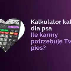 Kalkulator kalorii dla psa pomoże Ci obliczyć, ile suchej karmy dla psa potrzebuje Twój pupil.